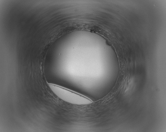 X0000073491013200607310911