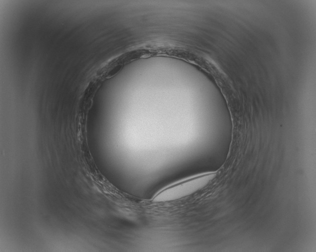 X0000073491016200607310911