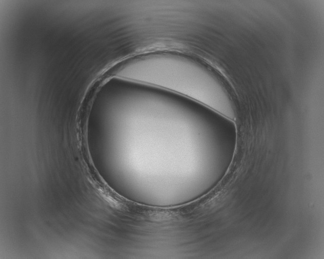 X0000073491018200607310911