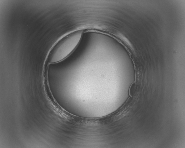 X0000073491020200607310911