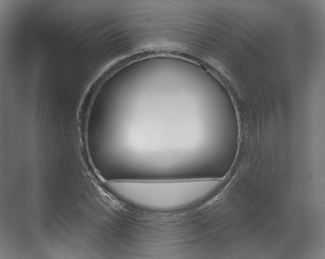 X0000073491022200607310911
