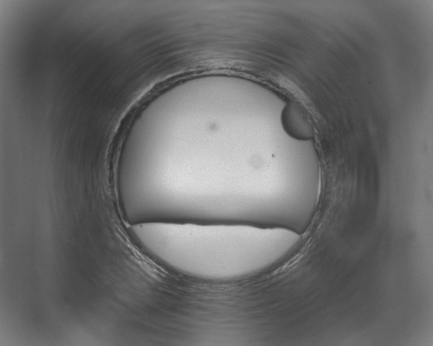 X0000073491023200607310911