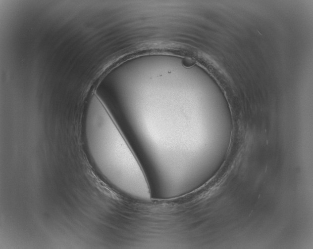 X0000073491025200607310911