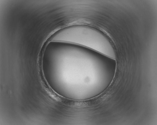 X0000073491026200607310911