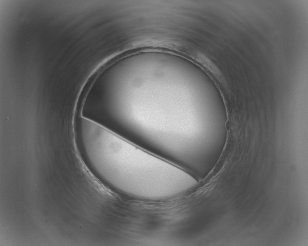 X0000073491028200607310911