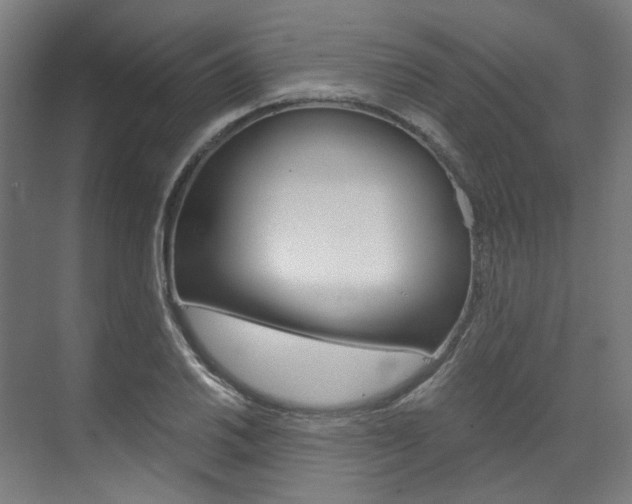 X0000073491030200607310911