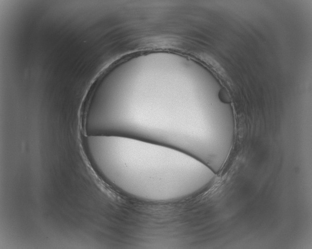 X0000073491031200607310911