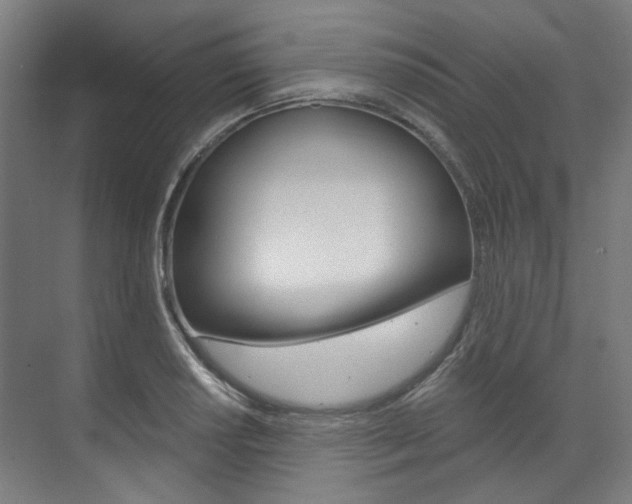 X0000073491034200607310911