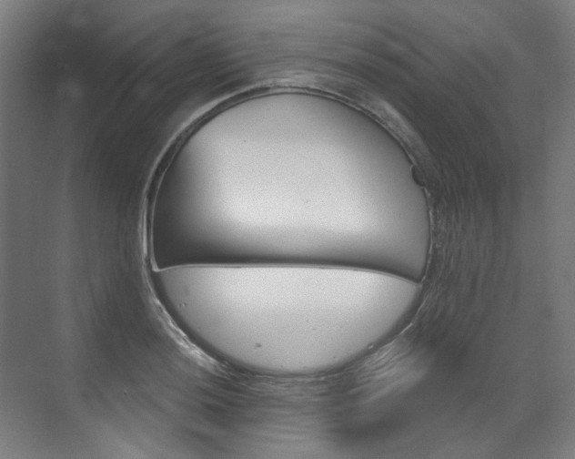 X0000073491036200607310911