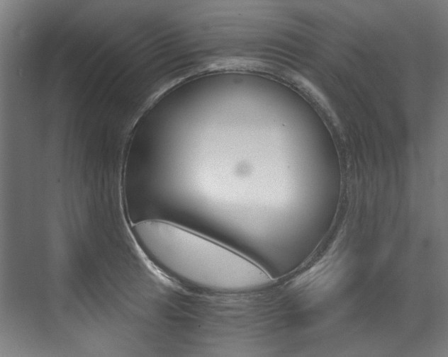 X0000073491041200607310912