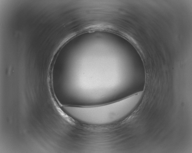 X0000073491042200607310912