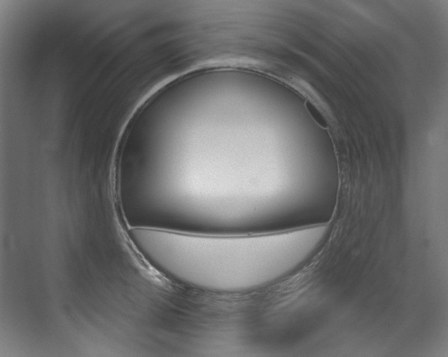 X0000073491044200607310912