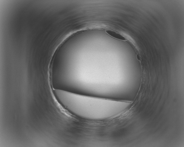 X0000073491047200607310912