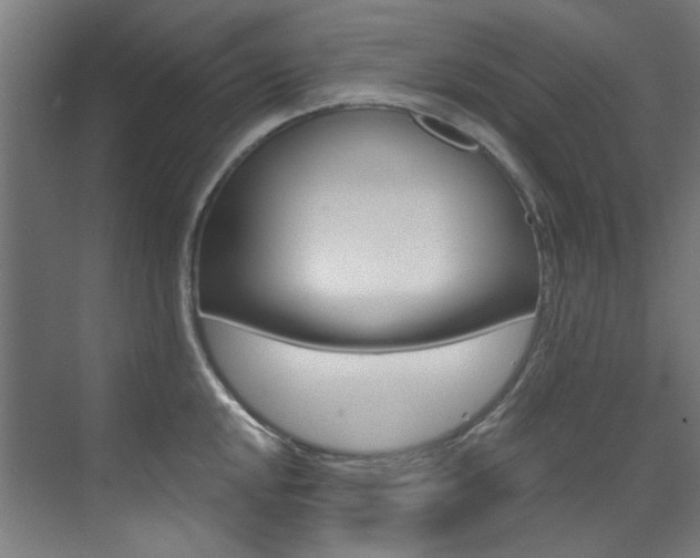X0000073491048200607310912