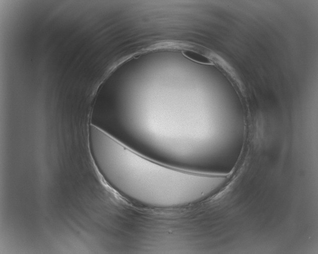 X0000073491049200607310912