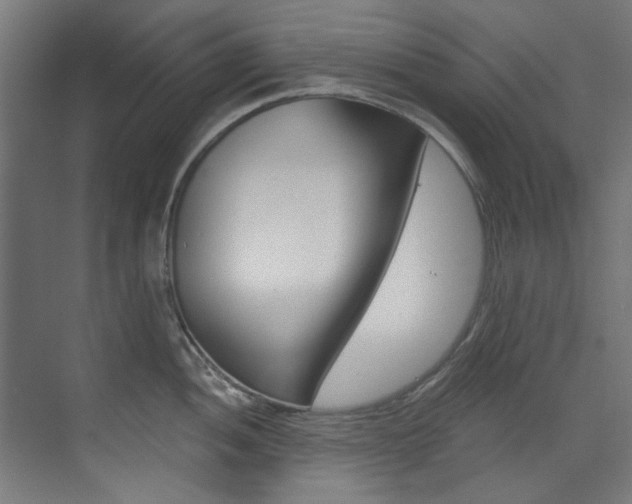X0000073491052200607310912