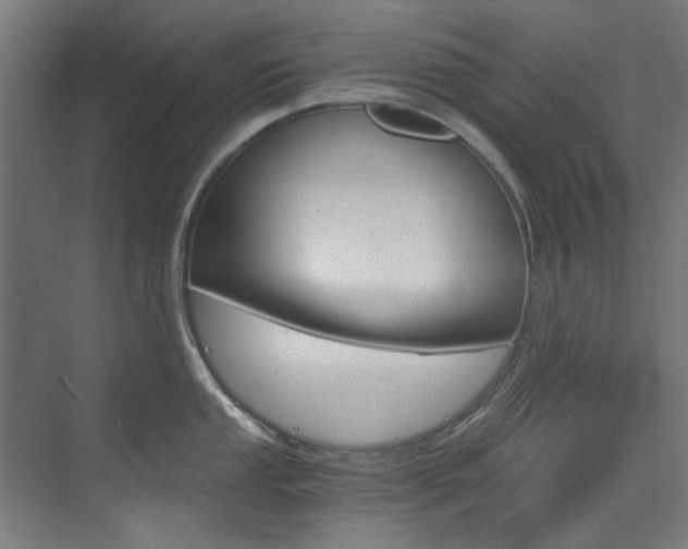 X0000073491053200607310912
