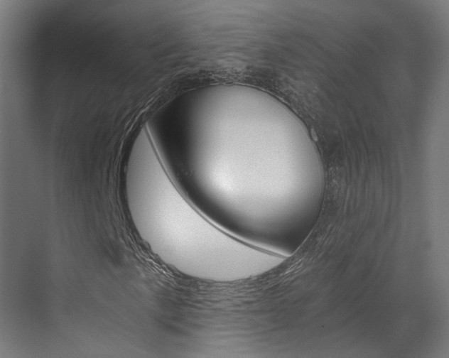 X0000073491057200607310911