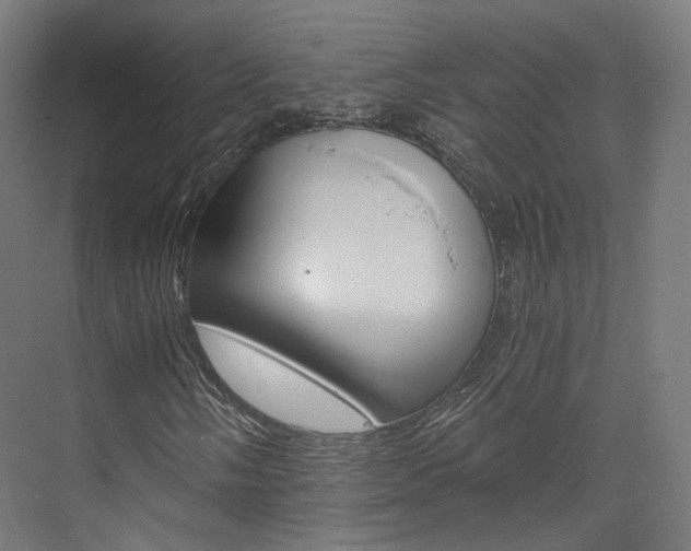 X0000073491058200607310911