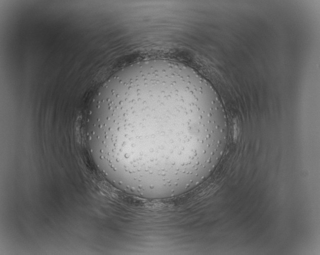 X0000073491059200607310911