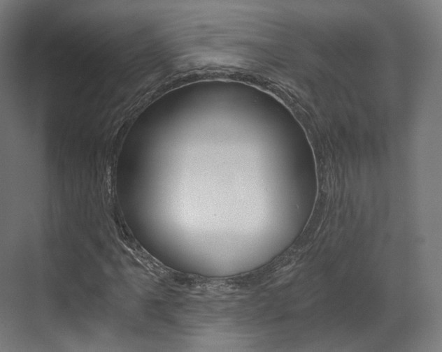 X0000073491061200607310911