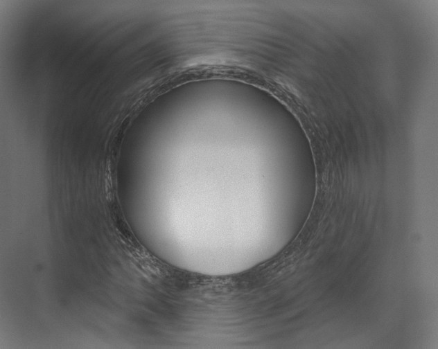 X0000073491062200607310911