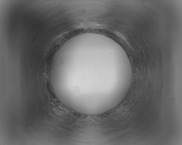 X0000073491063200607310911