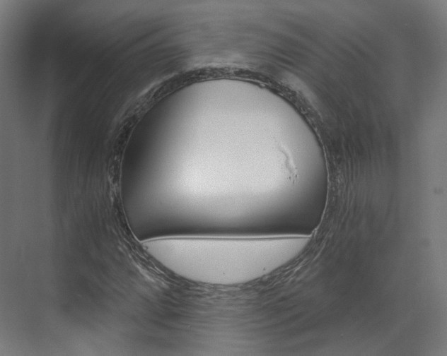 X0000073491064200607310911