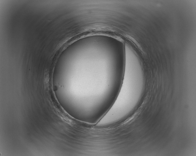 X0000073491065200607310911