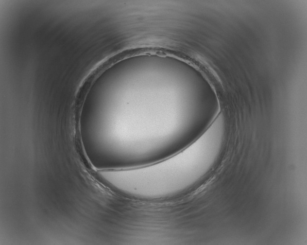 X0000073491069200607310911
