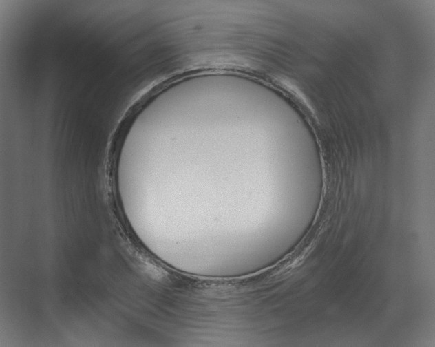 X0000073491071200607310911