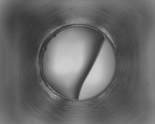 X0000073491072200607310911