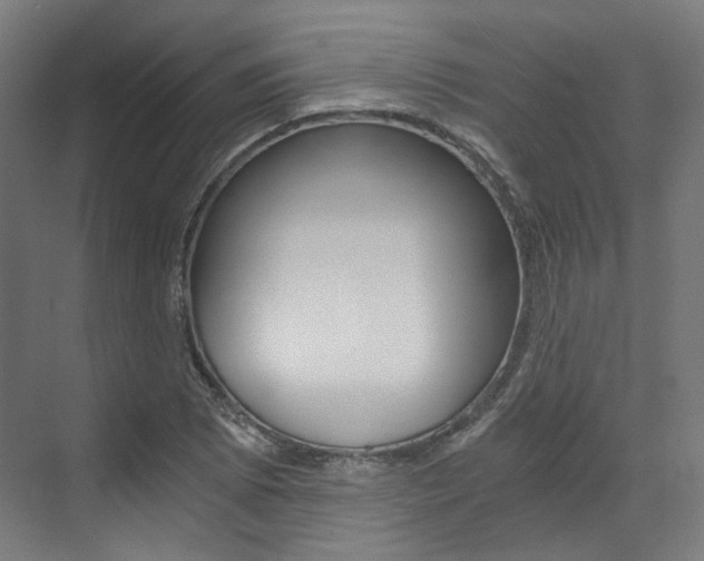 X0000073491073200607310911