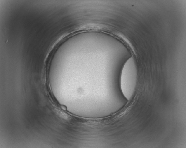 X0000073491075200607310911