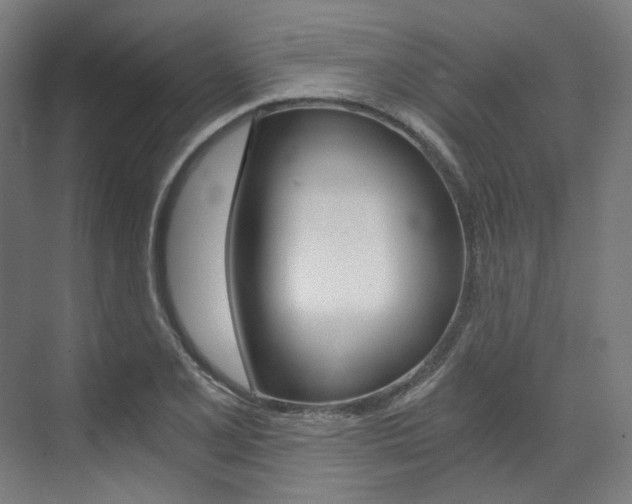 X0000073491077200607310911