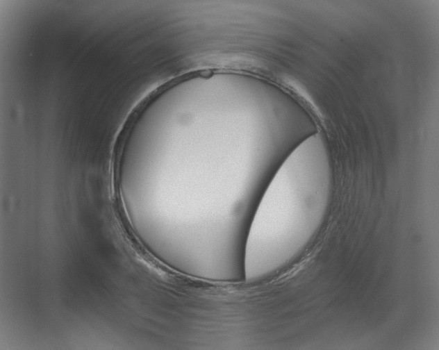 X0000073491079200607310911