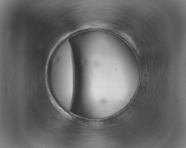 X0000073491080200607310911