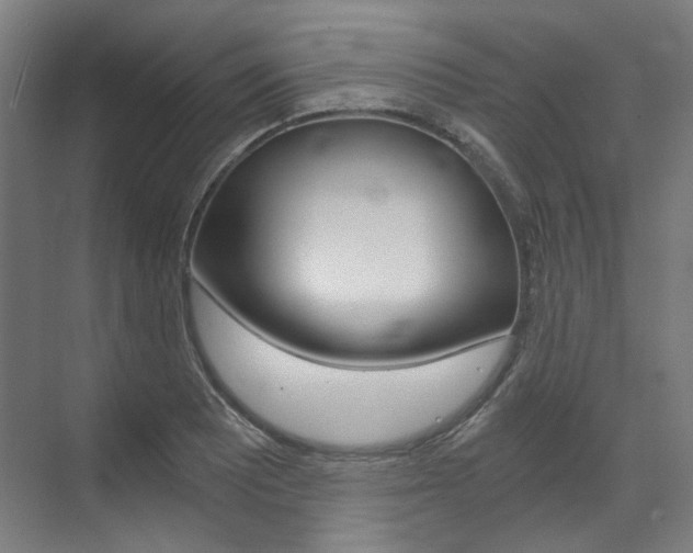 X0000073491081200607310911