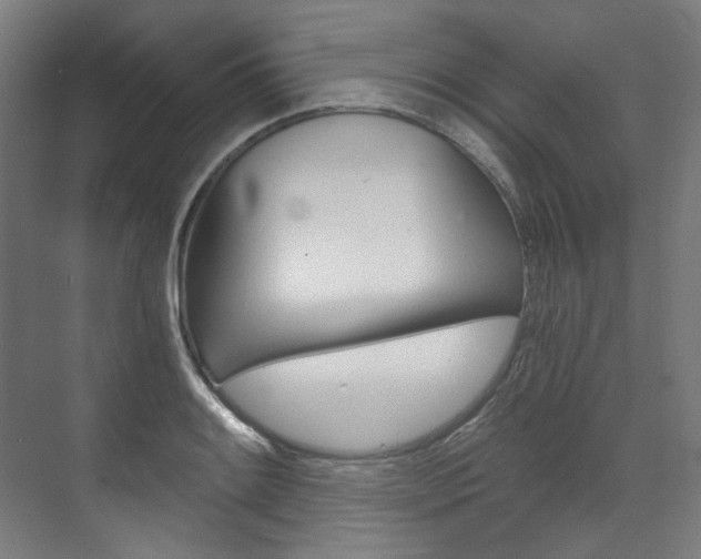 X0000073491084200607310911