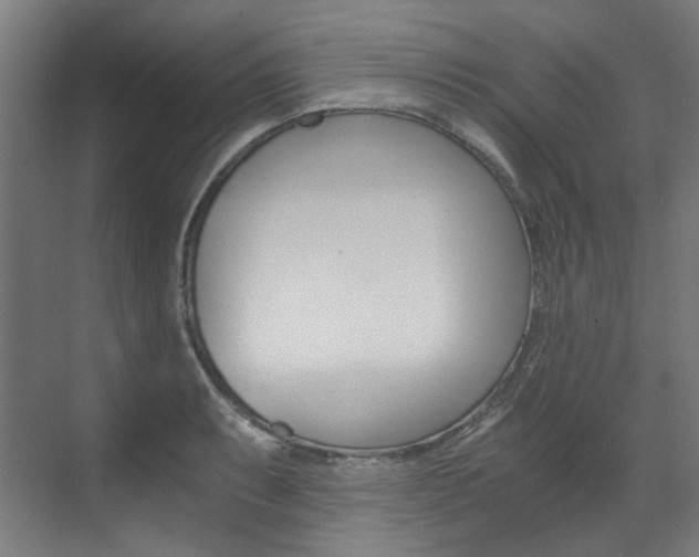 X0000073491087200607310910