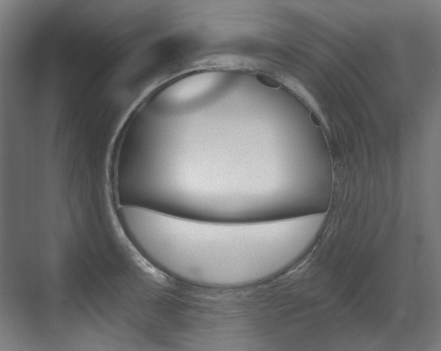 X0000073491091200607310910