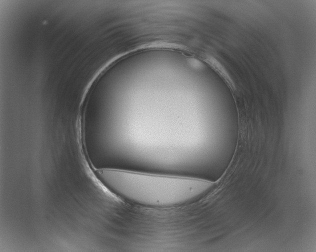 X0000073491092200607310910