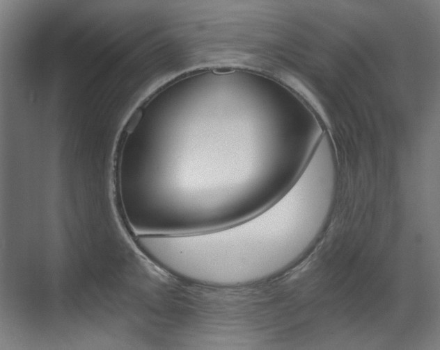 X0000073491093200607310910