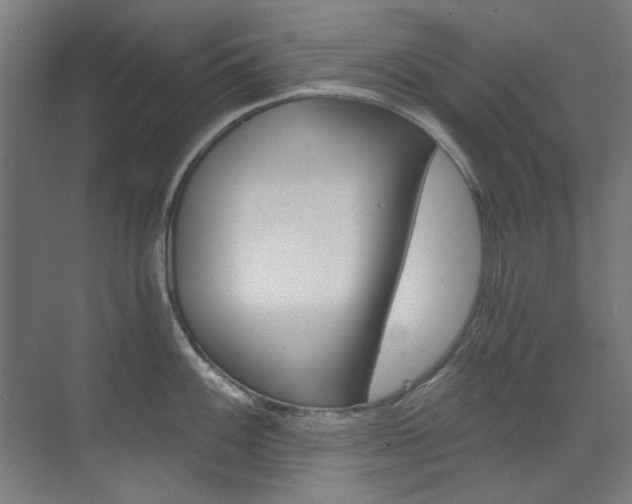 X0000073491100200607310910