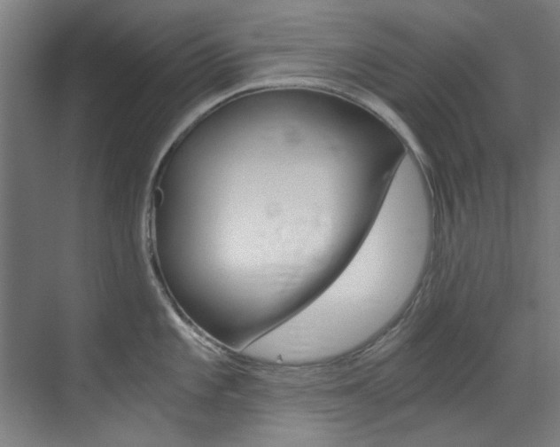 X0000073491101200607310910