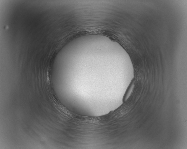 X0000073491106200607310909