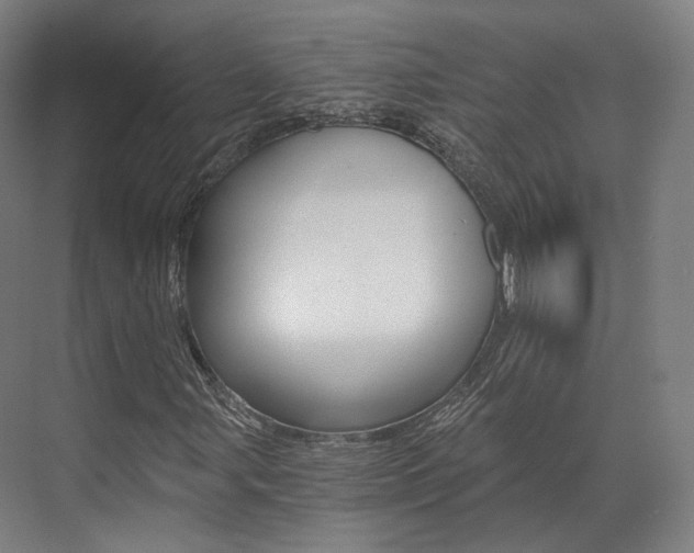 X0000073491107200607310909