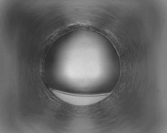 X0000073491110200607310909