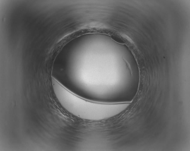 X0000073491112200607310909