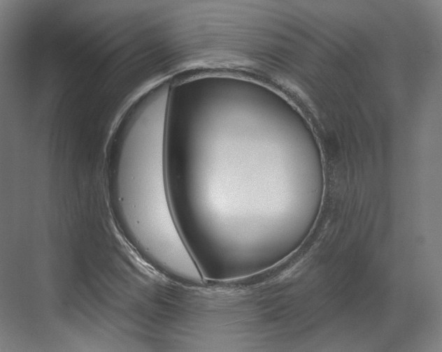 X0000073491114200607310910